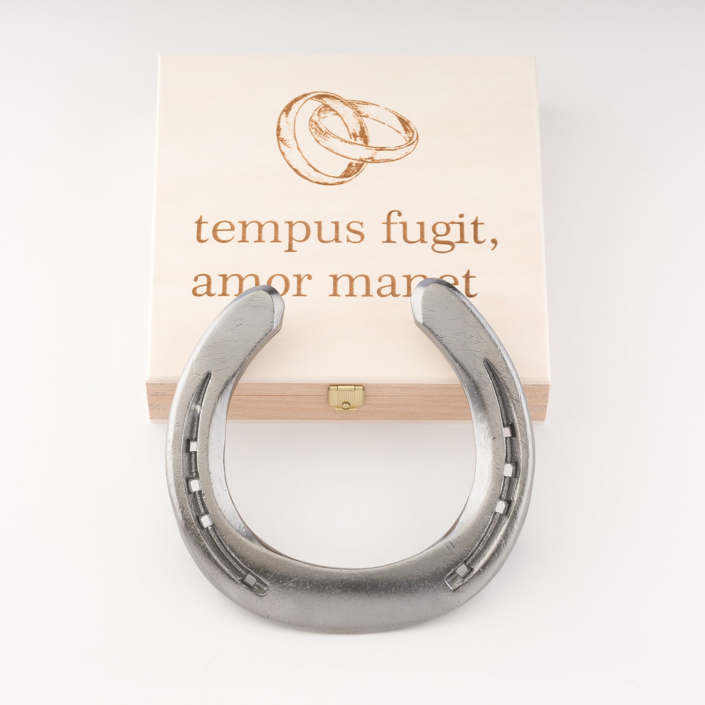 Geschenbox-Glueckshufeisen-tempus-fugit-amor manet