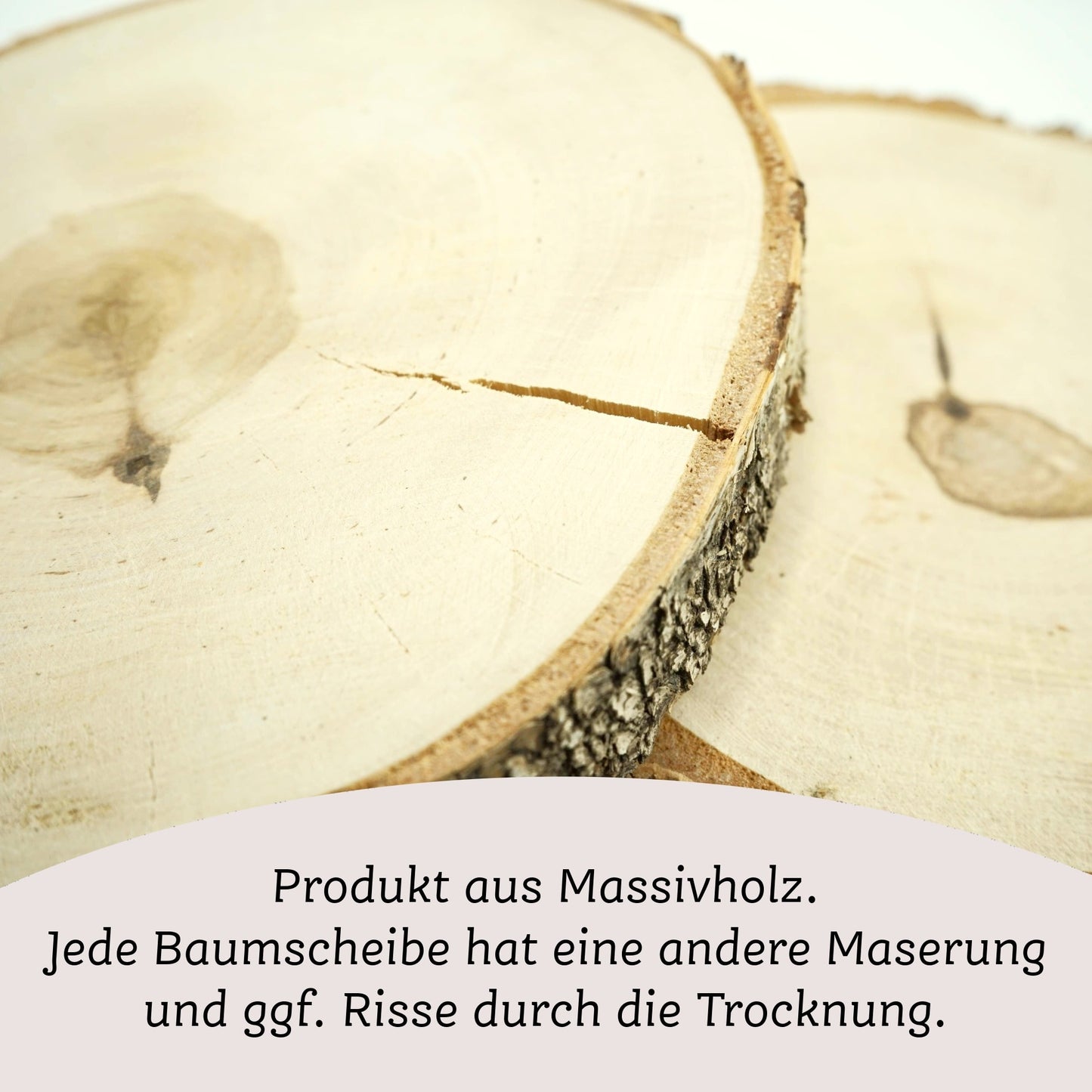 Baumscheibe Geburt "Fuchs"