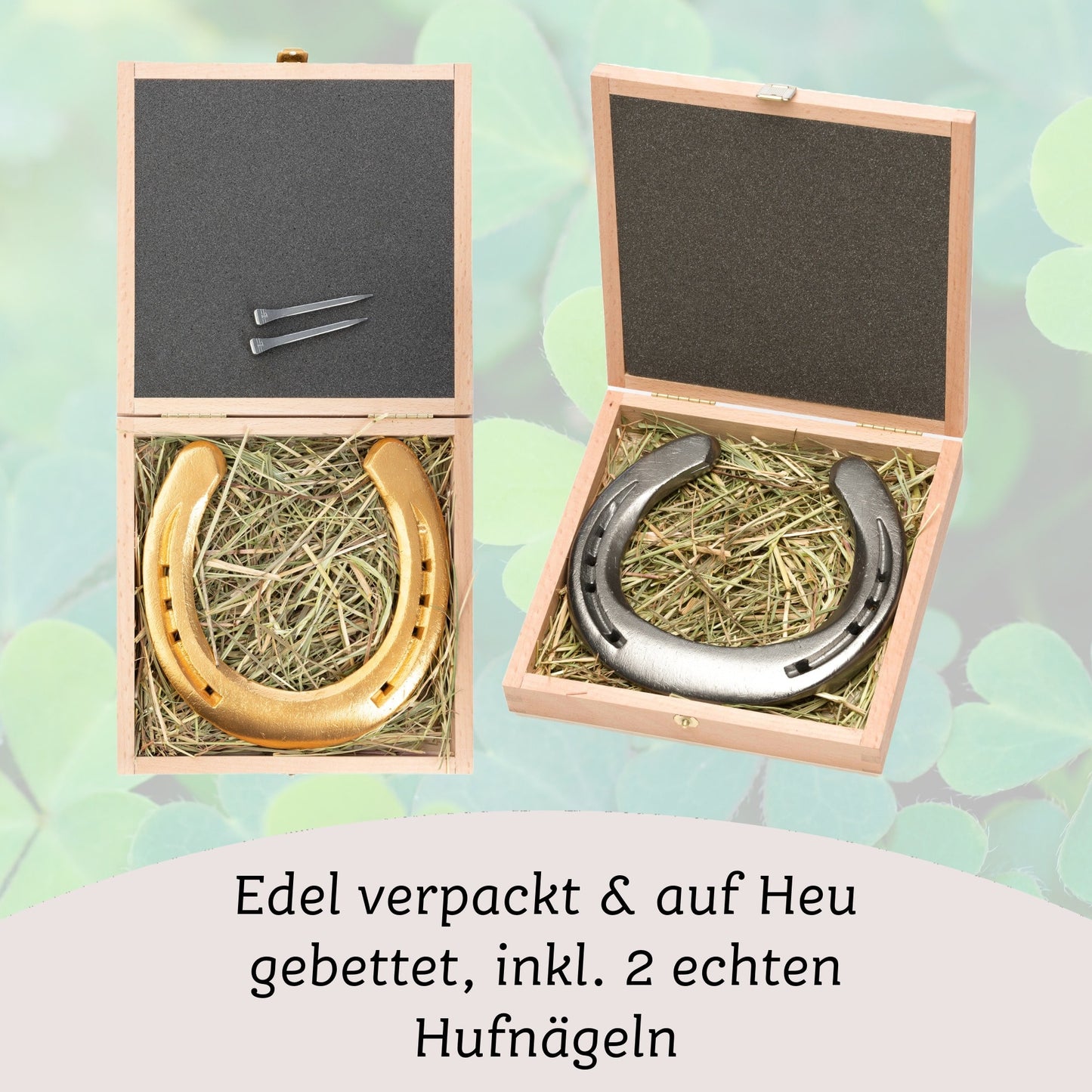 Glückshufeisen mit Geschenkbox "Demokrit"
