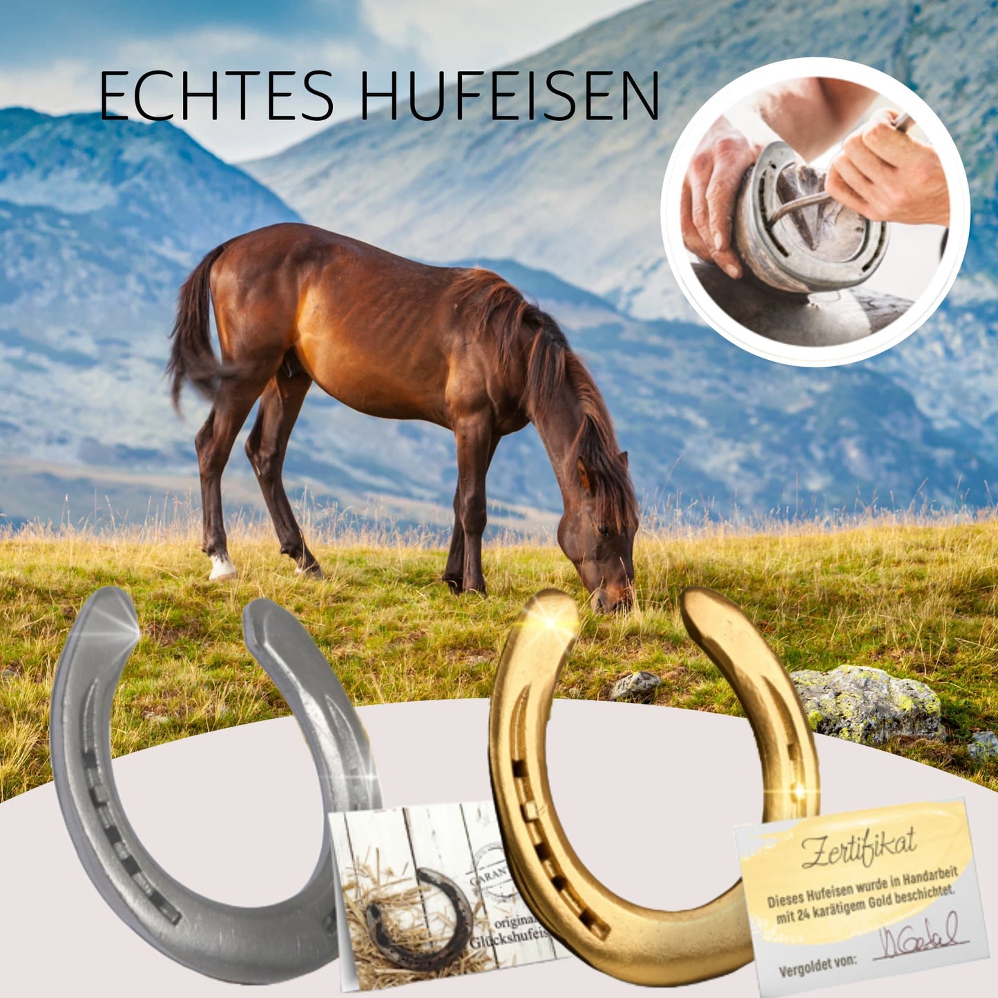 Glückshufeisen mit Geschenkbox "Tempus fugit"