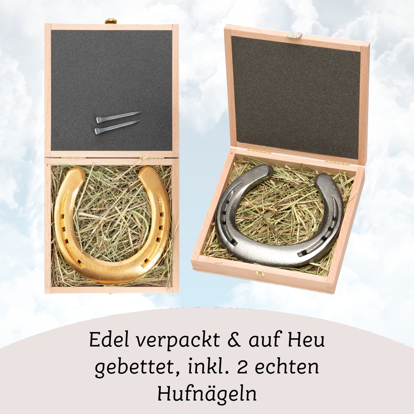 Glückshufeisen mit Geschenkbox "Tempus fugit"